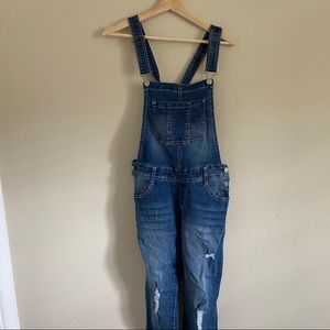 Wallflower Overalls